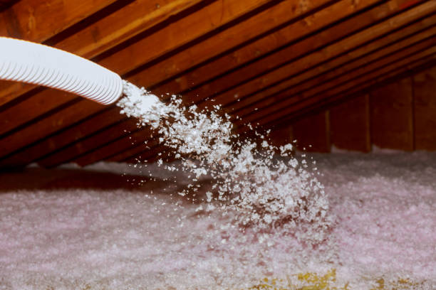 Best Types of Insulation in Limesa, CA