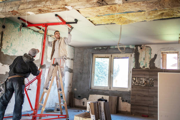 Best Commercial Insulation in Limesa, CA