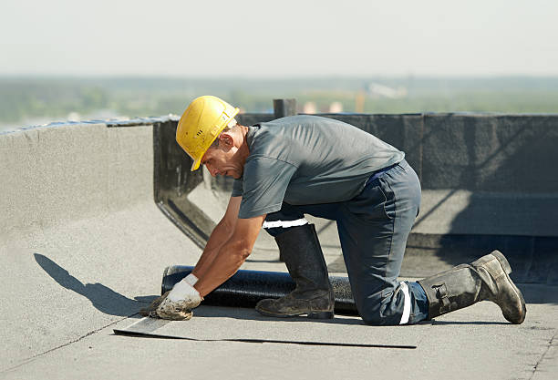 Best Insulation for Specific Applications in Limesa, CA