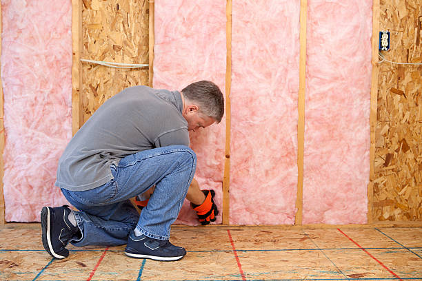 Best Residential Insulation in Limesa, CA